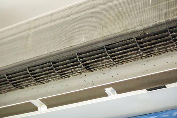 Best HVAC System Cleaning  in Amesti, CA